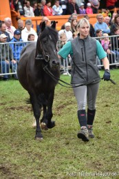 JURA-Volksfest-Pferdeshow-190819-0308
