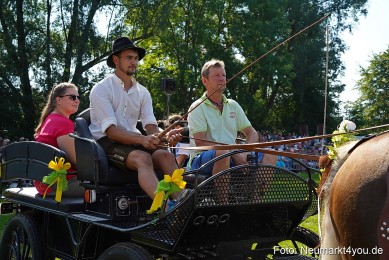 Pferde-und-Fohlenschau-JURA-Volksfest-2023-0118