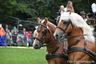JURA-Volksfest-Pferdeshow-190819-0036