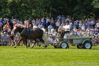 Pferde-und-Fohlenschau-JURA-Volksfest-2023-0132