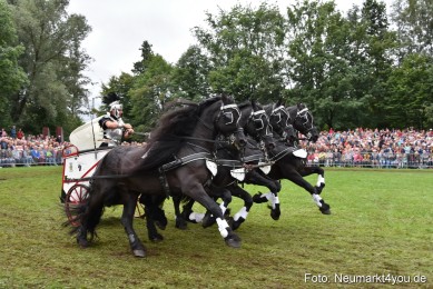 JURA-Volksfest-Pferdeshow-190819-0170