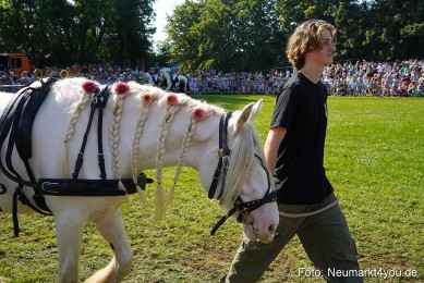 Pferde-und-Fohlenschau-JURA-Volksfest-2023-0110