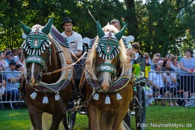 Pferde-und-Fohlenschau-JURA-Volksfest-2023-0117