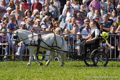 Pferde-und-Fohlenschau-2025-0107