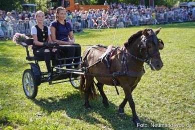 Pferde-und-Fohlenschau-2025-0112