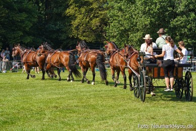 Pferde-und-Fohlenschau-JURA-Volksfest-2023-0182