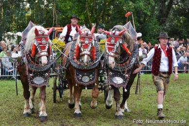 JURA-Volksfest-Pferdeshow-190819-0363