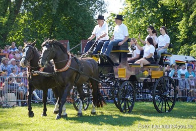 Pferde-und-Fohlenschau-2025-0086