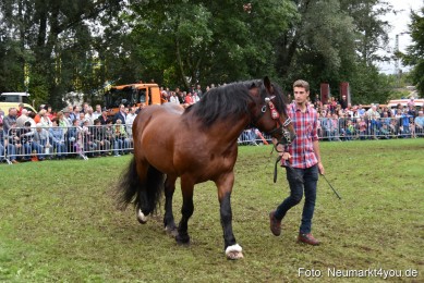 JURA-Volksfest-Pferdeshow-190819-0280