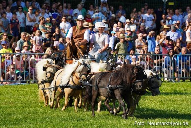 Pferde-und-Fohlenschau-JURA-Volksfest-2023-0051