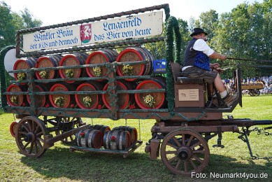 Pferde-und-Fohlenschau-JURA-Volksfest-2023-0197