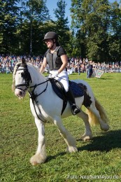 Pferde-und-Fohlenschau-2025-0069