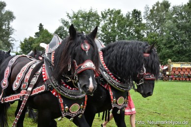 JURA-Volksfest-Pferdeshow-190819-0073