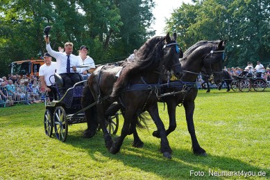 Pferde-und-Fohlenschau-JURA-Volksfest-2023-0152