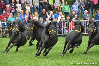 JURA-Volksfest-Pferdeshow-190819-0013