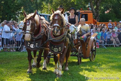 Pferde-und-Fohlenschau-JURA-Volksfest-2023-0121