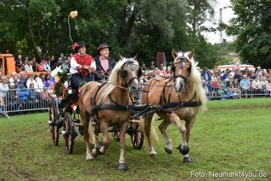 JURA-Volksfest-Pferdeshow-190819-0215