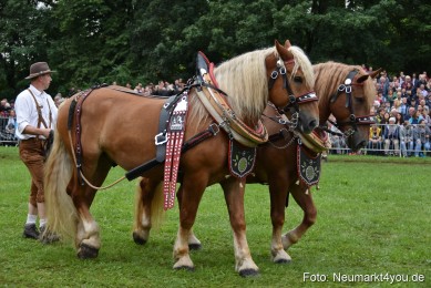 JURA-Volksfest-Pferdeshow-190819-0133