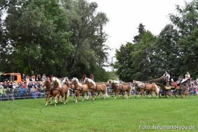 JURA-Volksfest-Pferdeshow-190819-0025