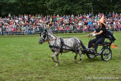 JURA-Volksfest-Pferdeshow-190819-0296