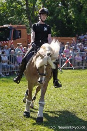 Pferde-und-Fohlenschau-2025-0129