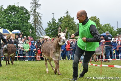 Eselrennen-Fruehlingsfest-2022-0173