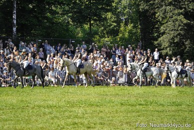 Pferde-und-Fohlenschau-2025-0062
