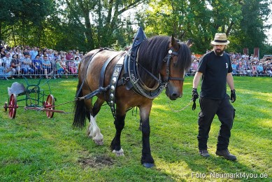 Pferde-und-Fohlenschau-JURA-Volksfest-2023-0078