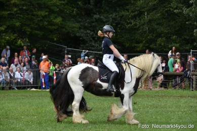 JURA-Volksfest-Pferdeshow-190819-0242
