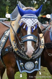 JURA-Volksfest-Pferdeshow-190819-0138