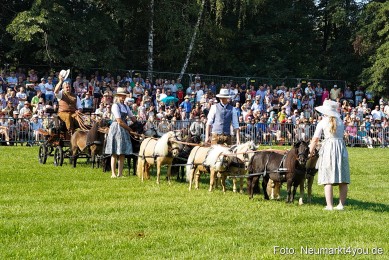 Pferde-und-Fohlenschau-JURA-Volksfest-2023-0055