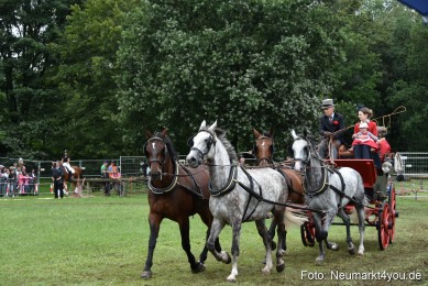 JURA-Volksfest-Pferdeshow-190819-0219