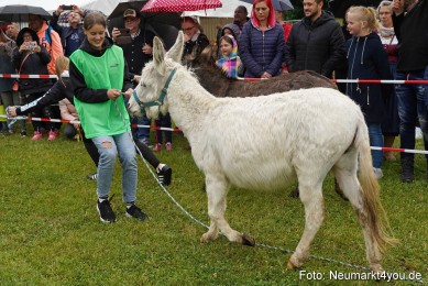 Eselrennen-Fruehlingsfest-2022-0019