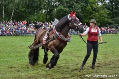 JURA-Volksfest-Pferdeshow-190819-0131