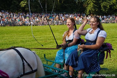 Pferde-und-Fohlenschau-JURA-Volksfest-2023-0036