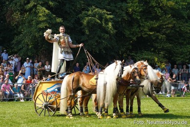 Pferde-und-Fohlenschau-JURA-Volksfest-2023-0160