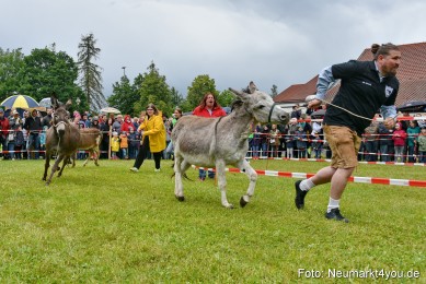 Eselrennen-Fruehlingsfest-2022-0160
