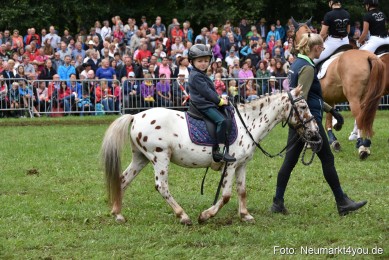 JURA-Volksfest-Pferdeshow-190819-0231