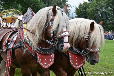 JURA-Volksfest-Pferdeshow-190819-0097