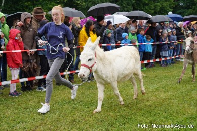 Eselrennen-Fruehlingsfest-2022-0084