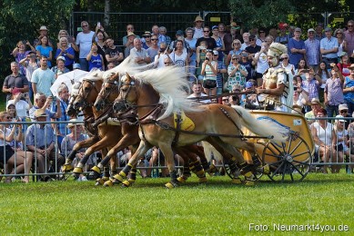 Pferde-und-Fohlenschau-JURA-Volksfest-2023-0165