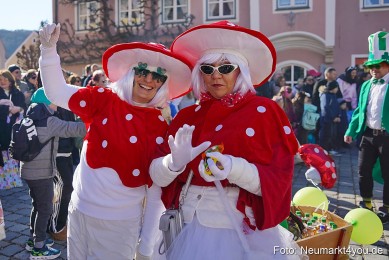 Faschingszug-Berching-2025-0181