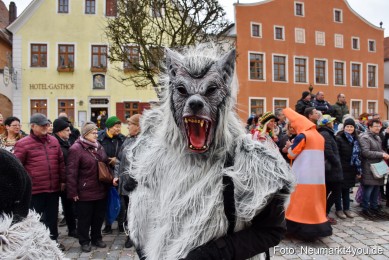 Faschingszug-Berching-2020-230220-0229