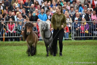 JURA-Volksfest-Pferdeshow-190819-0106
