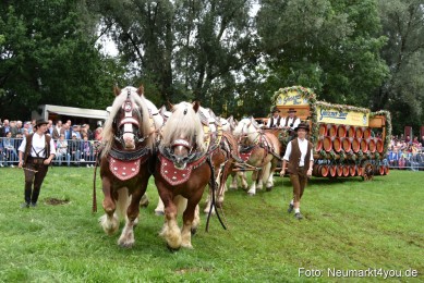 JURA-Volksfest-Pferdeshow-190819-0074
