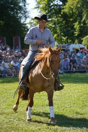 Pferde-und-Fohlenschau-2025-0125