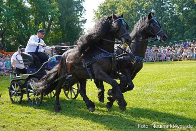 Pferde-und-Fohlenschau-JURA-Volksfest-2023-0149
