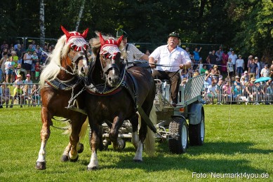 Pferde-und-Fohlenschau-JURA-Volksfest-2023-0127