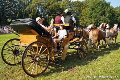 Pferde-und-Fohlenschau-JURA-Volksfest-2023-0094