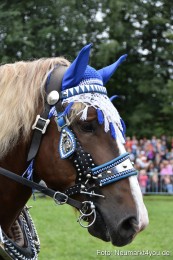 JURA-Volksfest-Pferdeshow-190819-0128